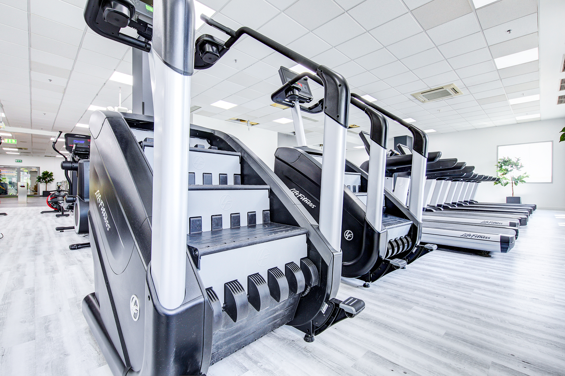 fitnessstudio heilbronn jumpers fitness jumpers fitness com