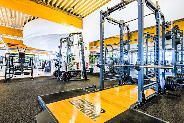 Freihantelbereich mit Hammer Strength Station