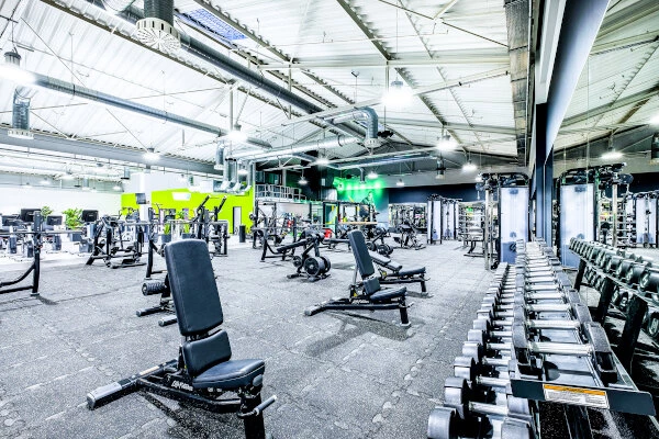 Freihantelbereich mit Hantelbänken