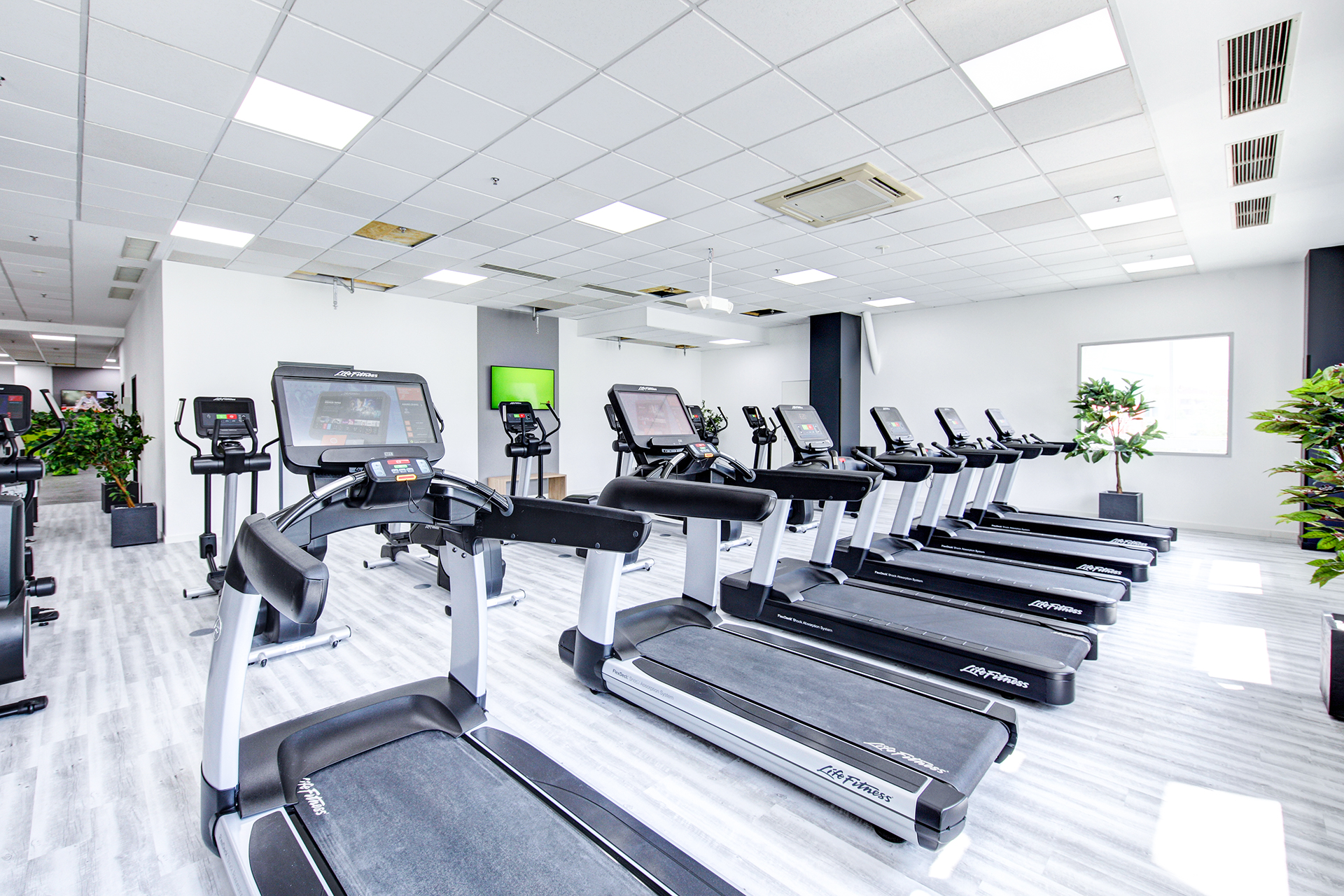 fitnessstudio heilbronn jumpers fitness jumpers fitness com