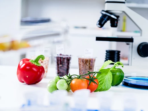 Lebensmittel unter der Lupe im Labor