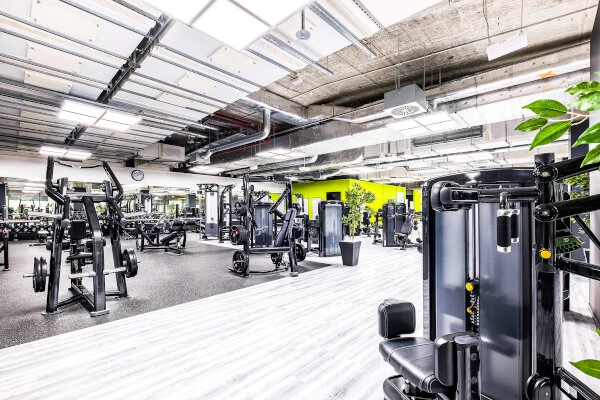 Kraftbereiche mit Freihantelbereich und geführten Geräten