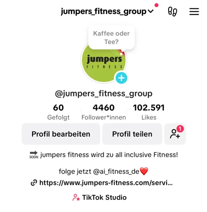 Screenshot TikTok Account Profil