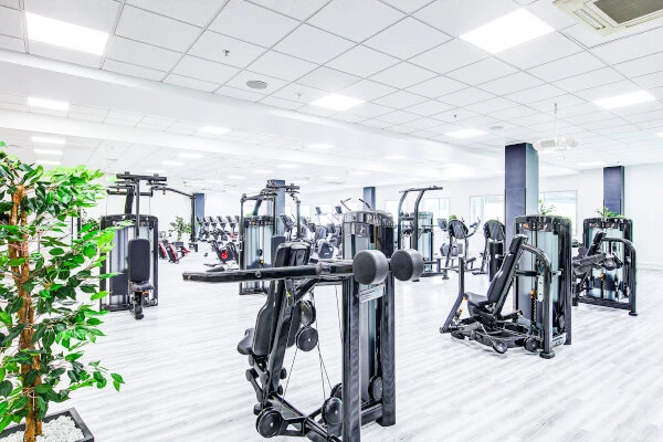 Mit geführten Geräten zu einem starken Rücken