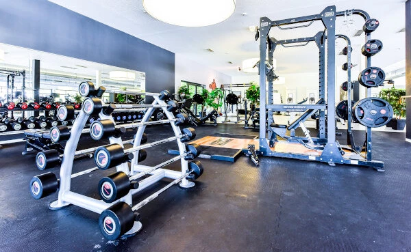 Unser Freihantelbereich für Dein Krafttraining